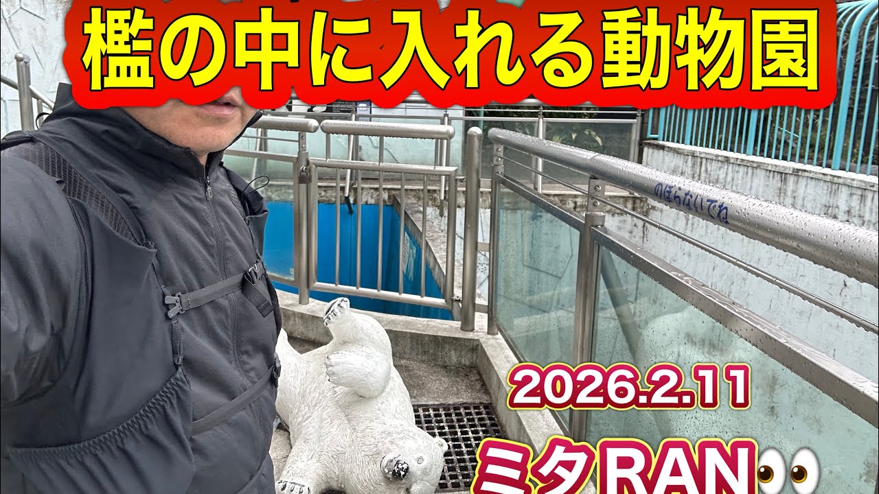 檻の中に入れる動物園‼️【2026.2.11】ミタRAN👀