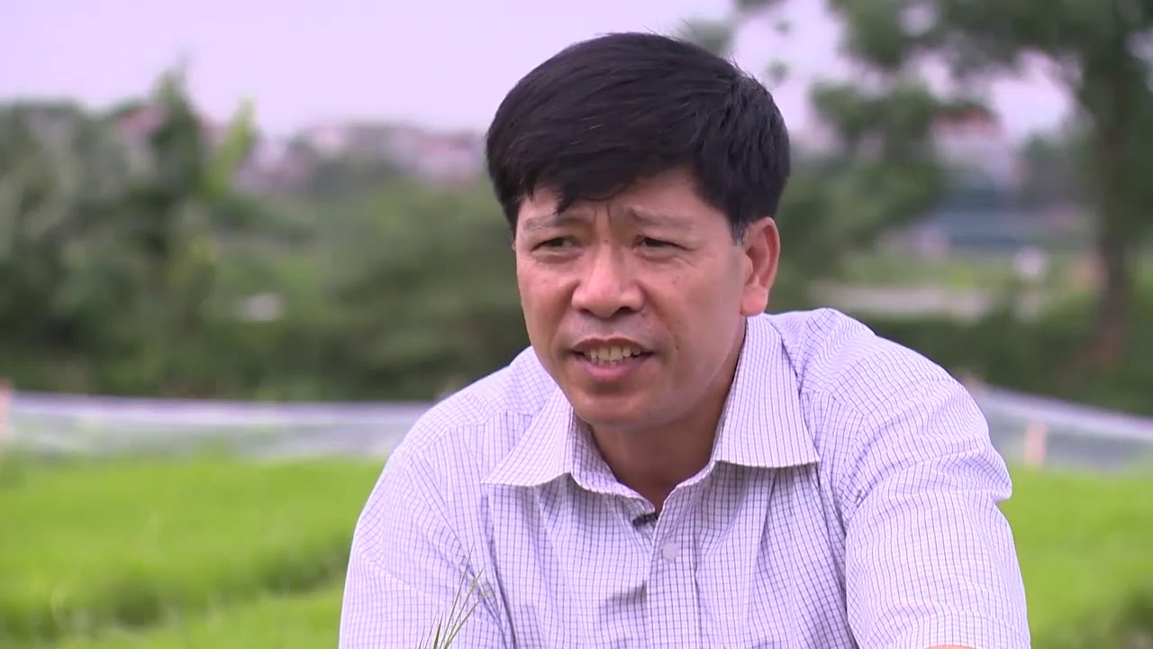 Mạ khay máy cấy