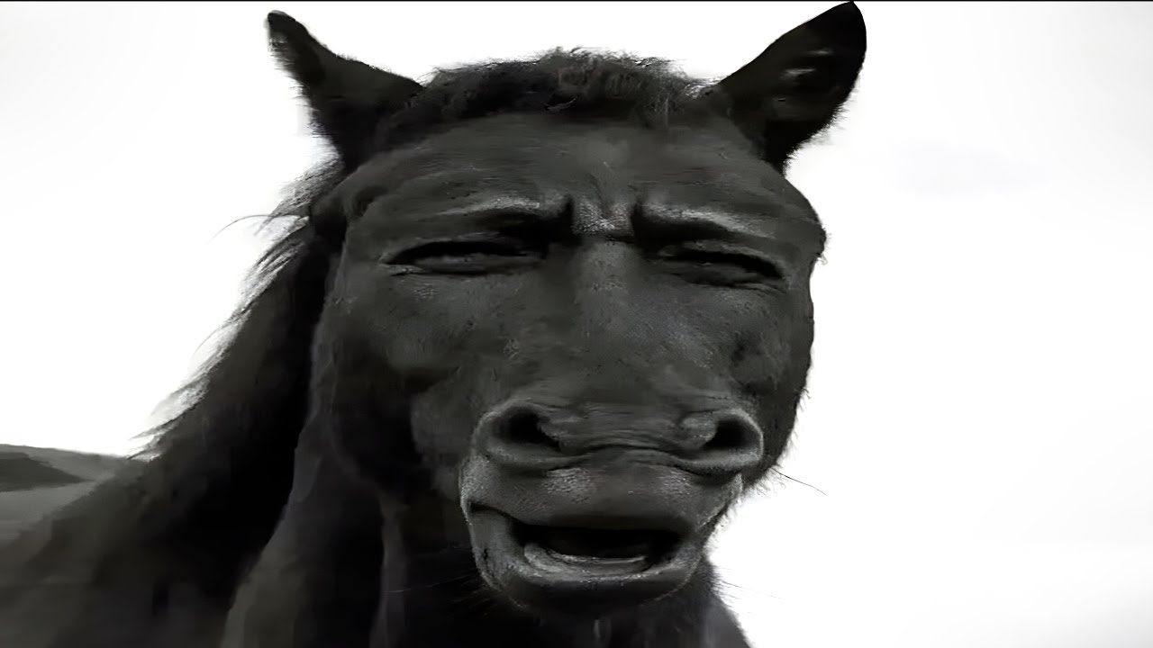 You laugh, you replay the video