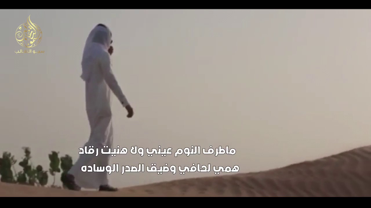 شيله توجع القلب 💔😢 | يا ناكر العشق - يستاهل الضيم | سلطان البريكي | mp3
