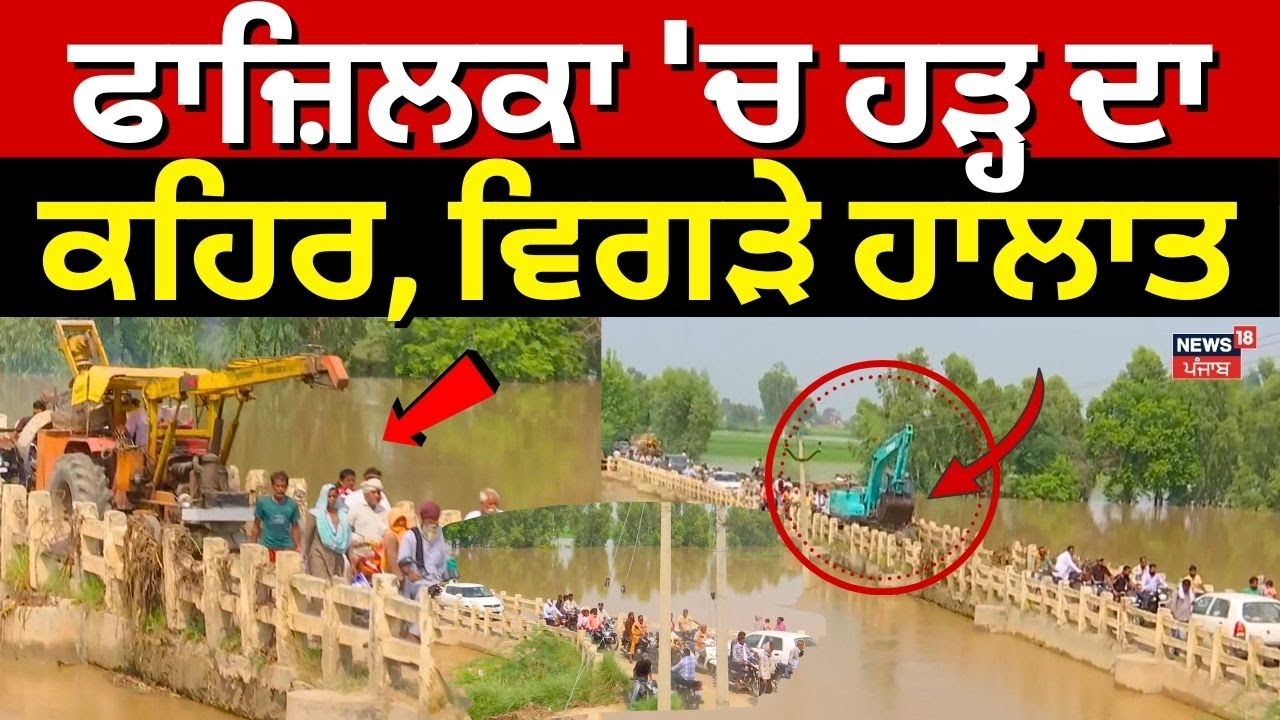 Fazilka Floods Update | ਫਾਜ਼ਿਲਕਾ 'ਚ ਹੜ੍ਹ ਦਾ ਕਹਿਰ, ਵਿਗੜੇ ਹਾਲਾਤ | Heavy Rain | Weather | N18V