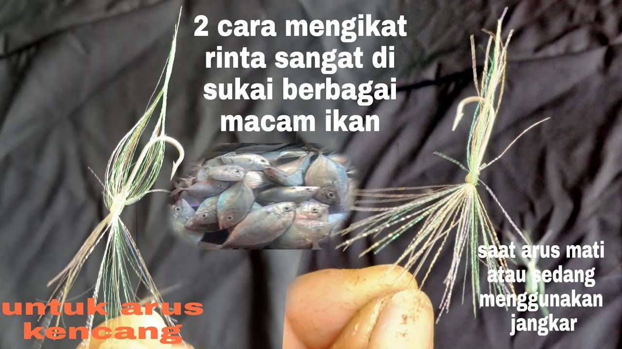 Cara membuat rinta sangat disukai semua ikan  dasar dan lain lain ala # papa RETTE Mania