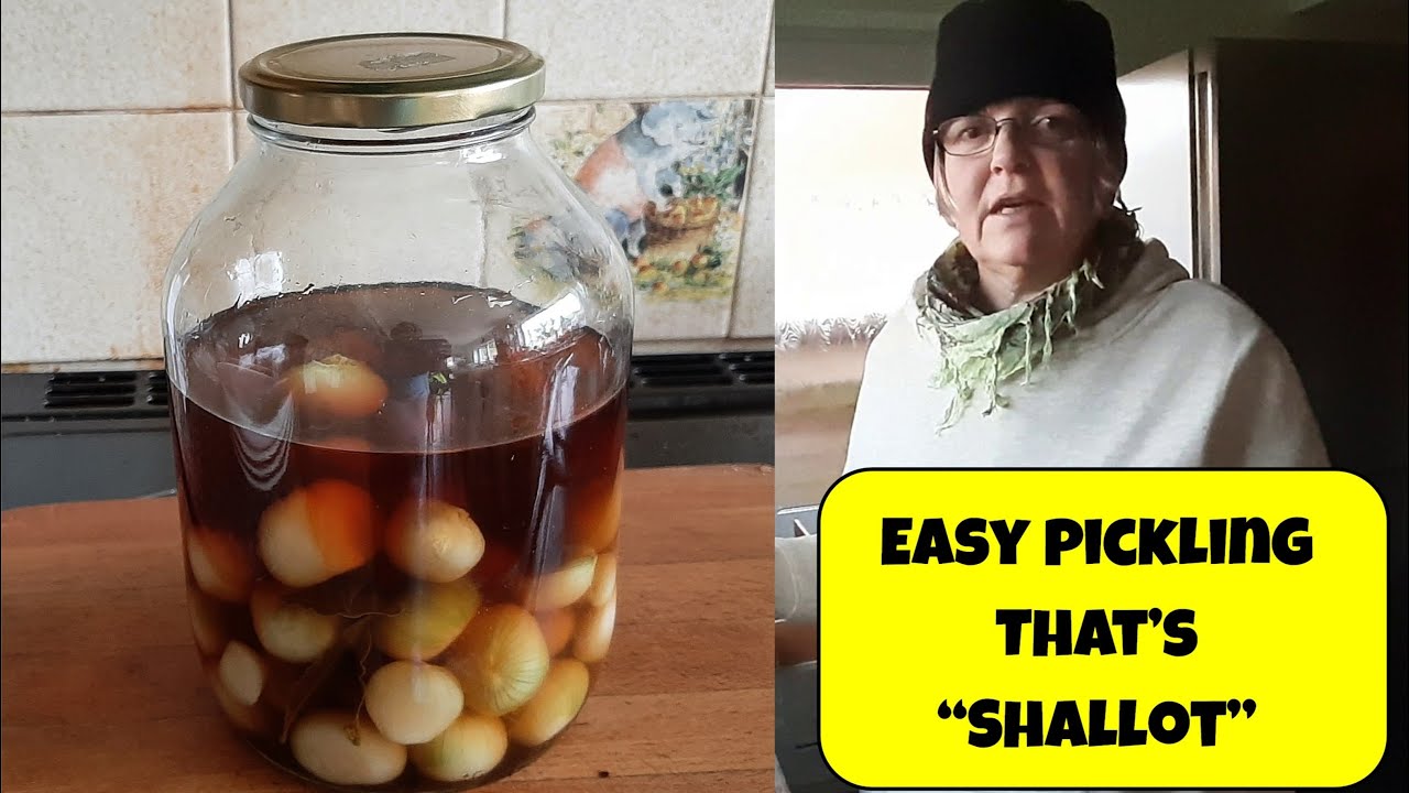 How to Pickle Shallots (Allium cepa aggregatum)
