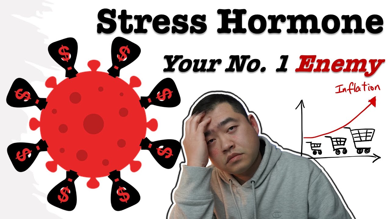 Stress Hormone is your No.1 Enemy Inflation hurts beyond your wallet 4 ways to reduce stress hormone