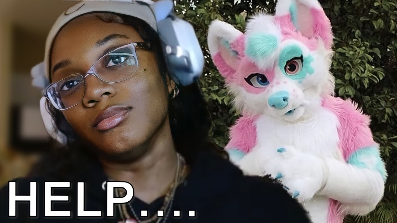 I TOOK THE FURRY TEST
