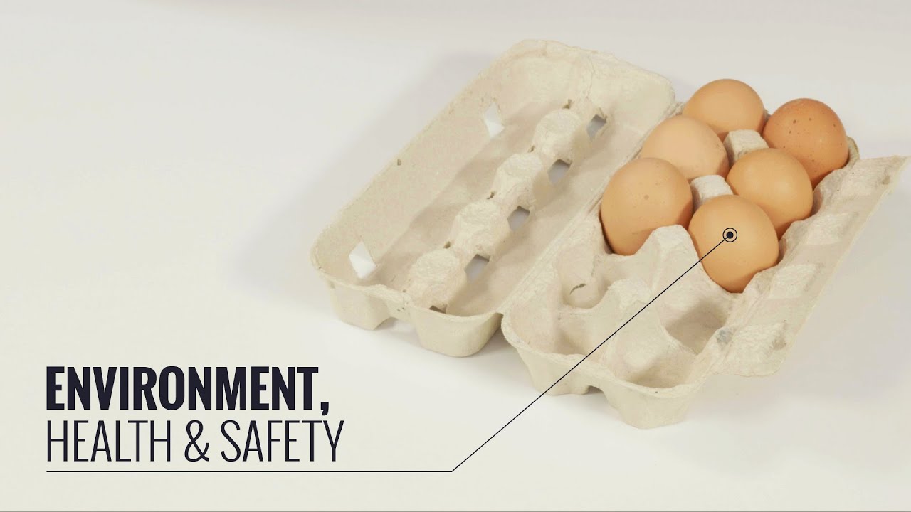Environment, Health & Safety