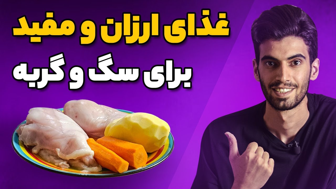 طرز تهیه غذای خونگی برای سگ و گربه ❌ کم هزینه، خوشمزه و آسان