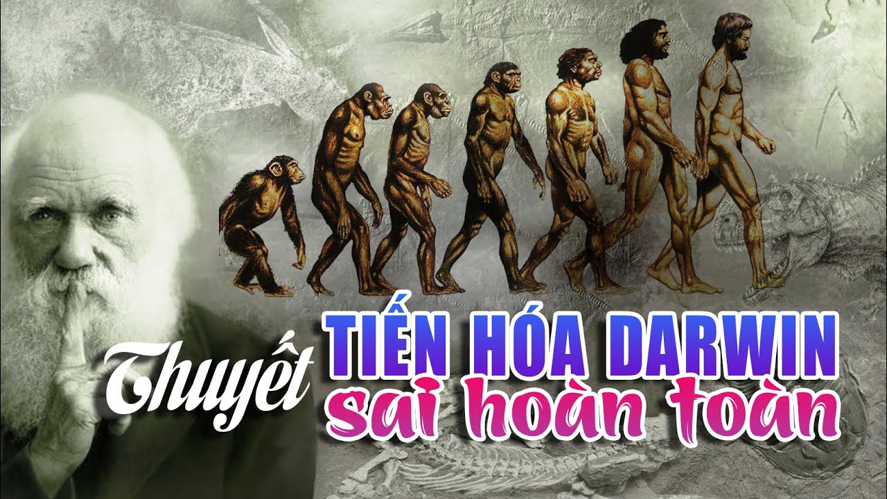 Thuyết tiến h&oacute;a Darwin đ&atilde; SAI HO&Agrave;N TO&Agrave;N