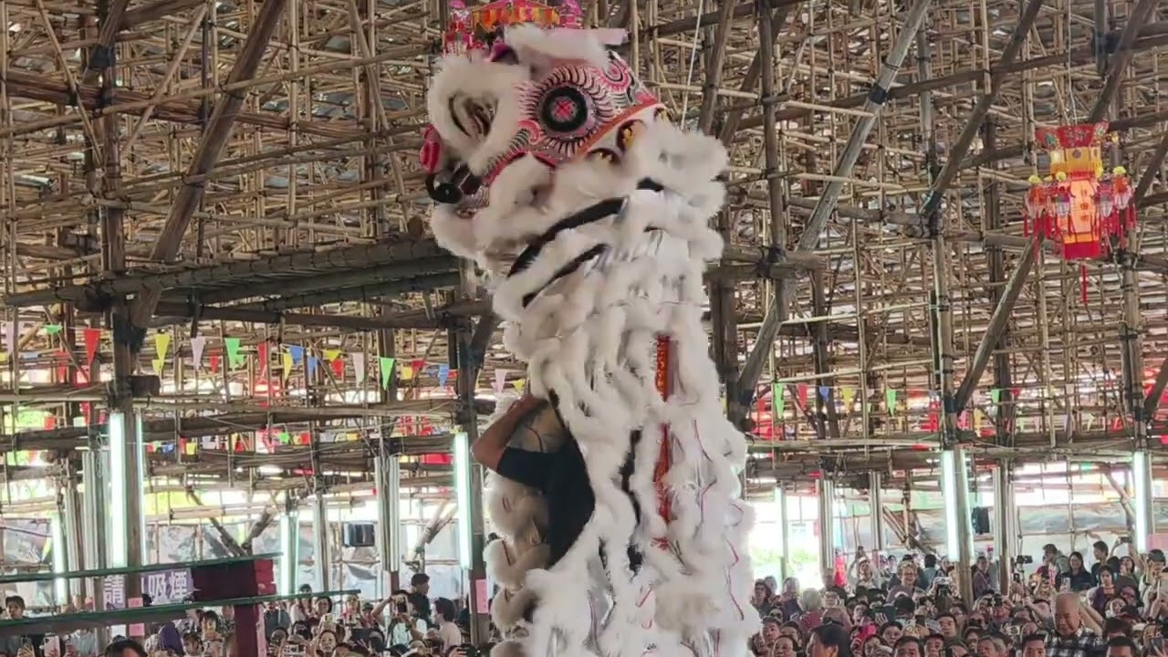 航拍錦田鄉酬恩建醮，獅王爭霸，暨新界鄉議局成立100週年✌️✌️航拍錦田鄉酬恩建醮，獅王爭霸，暨新界鄉議局成立100週年✌️✌️17-01-2026