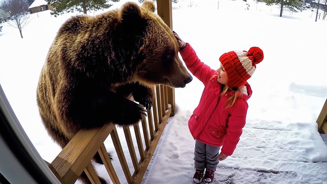 Когда опасные животные оказываются дружелюбными, снятыми на камеру! ❤️