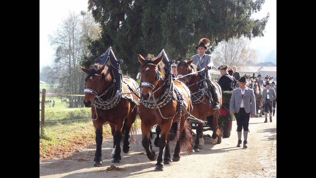 Traditional horse parade 