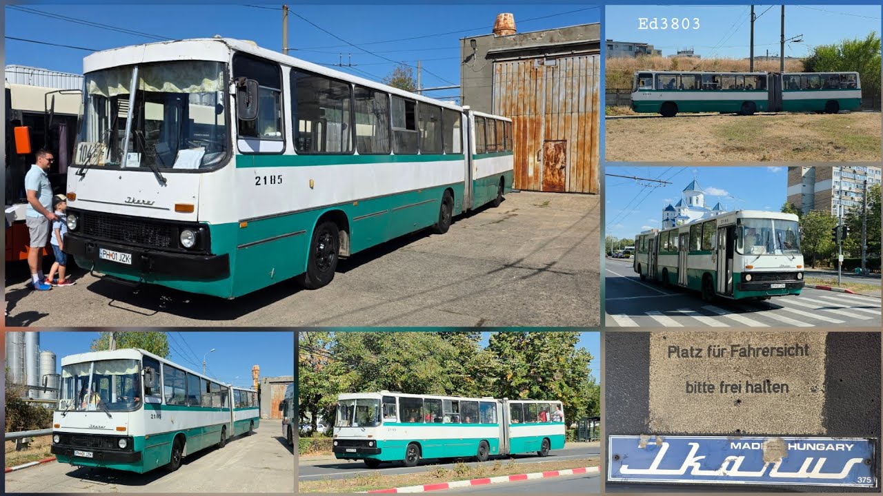 Autobuzul IKARUS 280.02 #2185 în Ploiești | Săptămâna Europeană a Mobilității | Septembrie 2025 