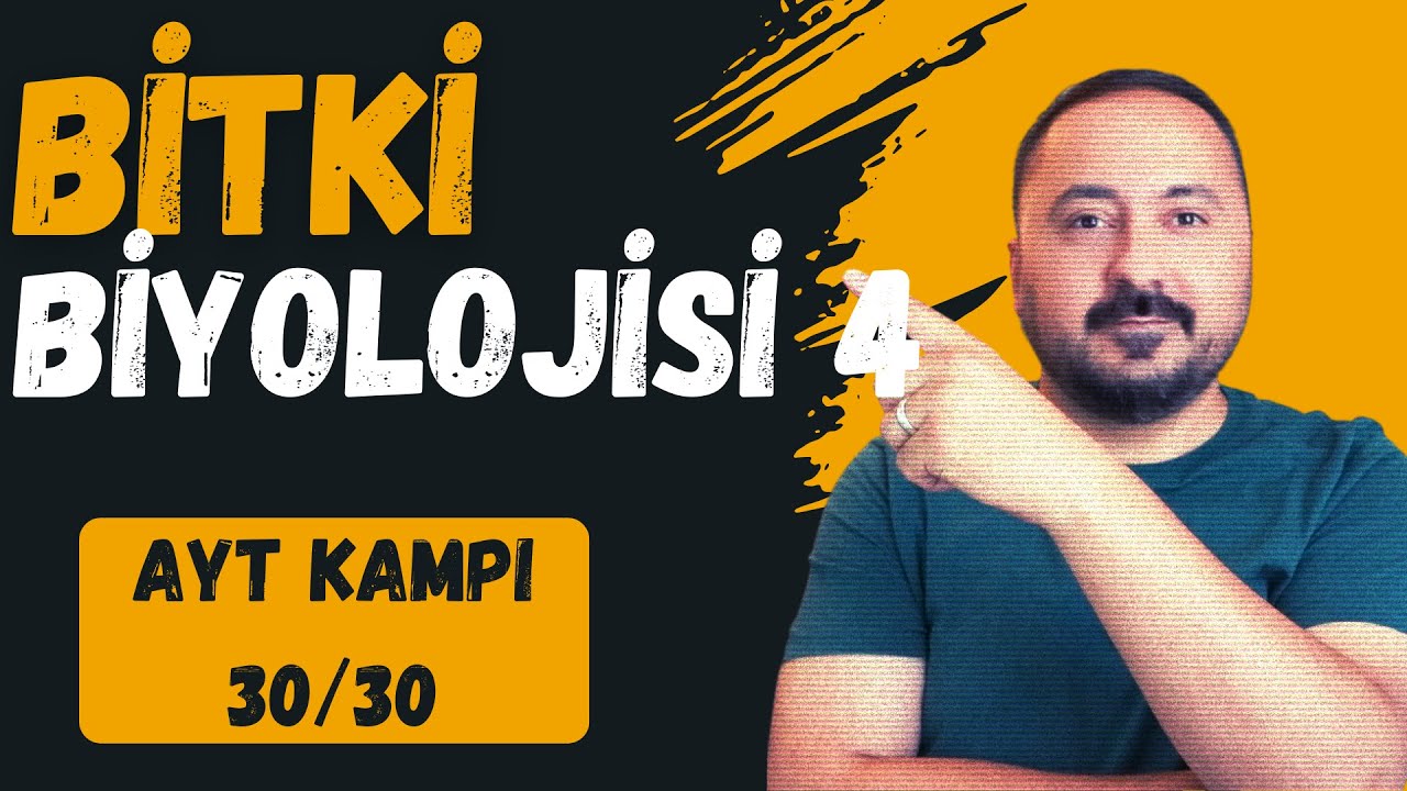 Bitki Biyolojisi 4 | 30 Derste AYT Biyoloji Kampı 30.Ders | 2025 | Cici Biyoloji