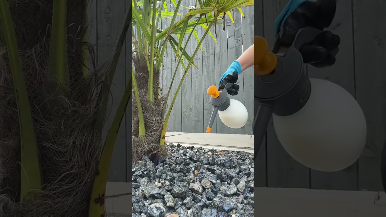The must have for your garden stones #easihold #asmr #asmrsounds #satisfying