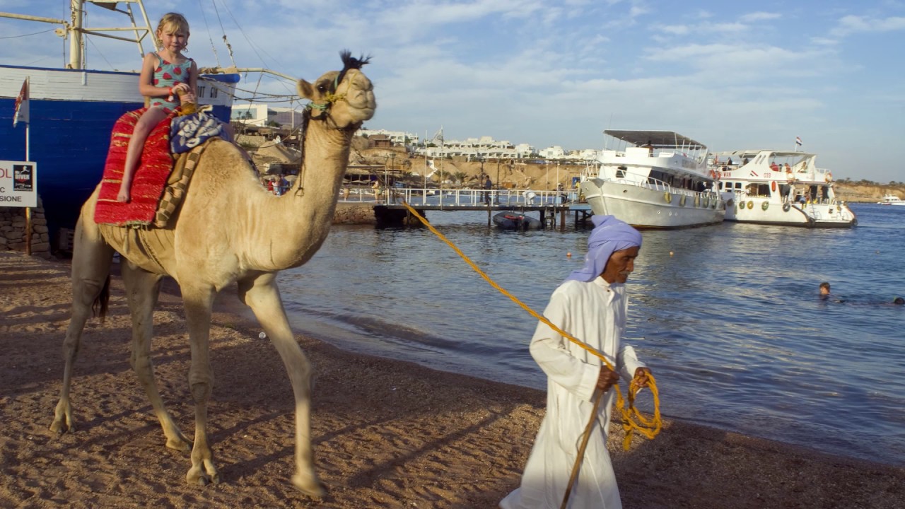 Michael Portillo - Tips for Travellers to Egypt