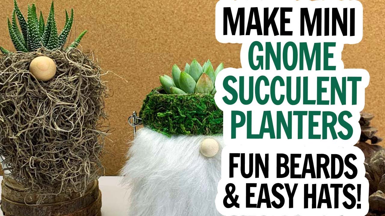 Mini Gnome Planter / Succulent Gnomes / Real Plant Gnome / How to Make Dollar Tree Succulent Gnomes