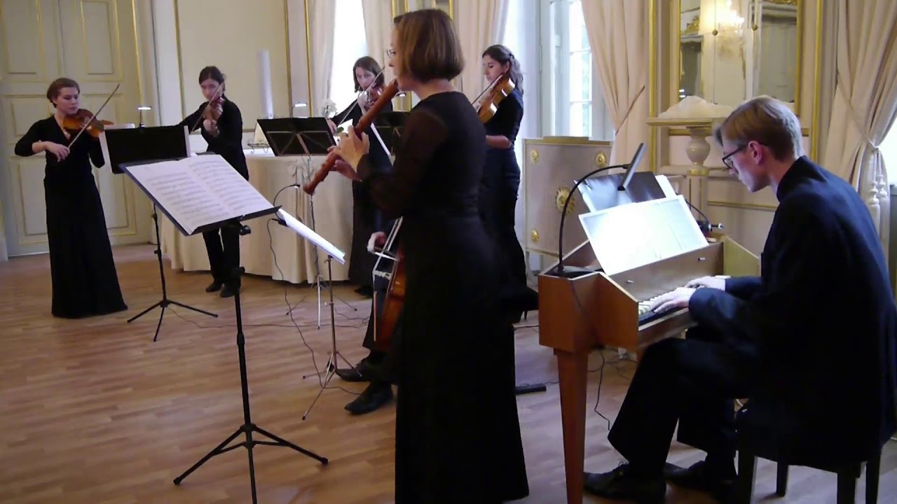 Telemann: Konzert für Blockflöte und Fagott TWV 52:F1 (arr.für Cello) Satz 2