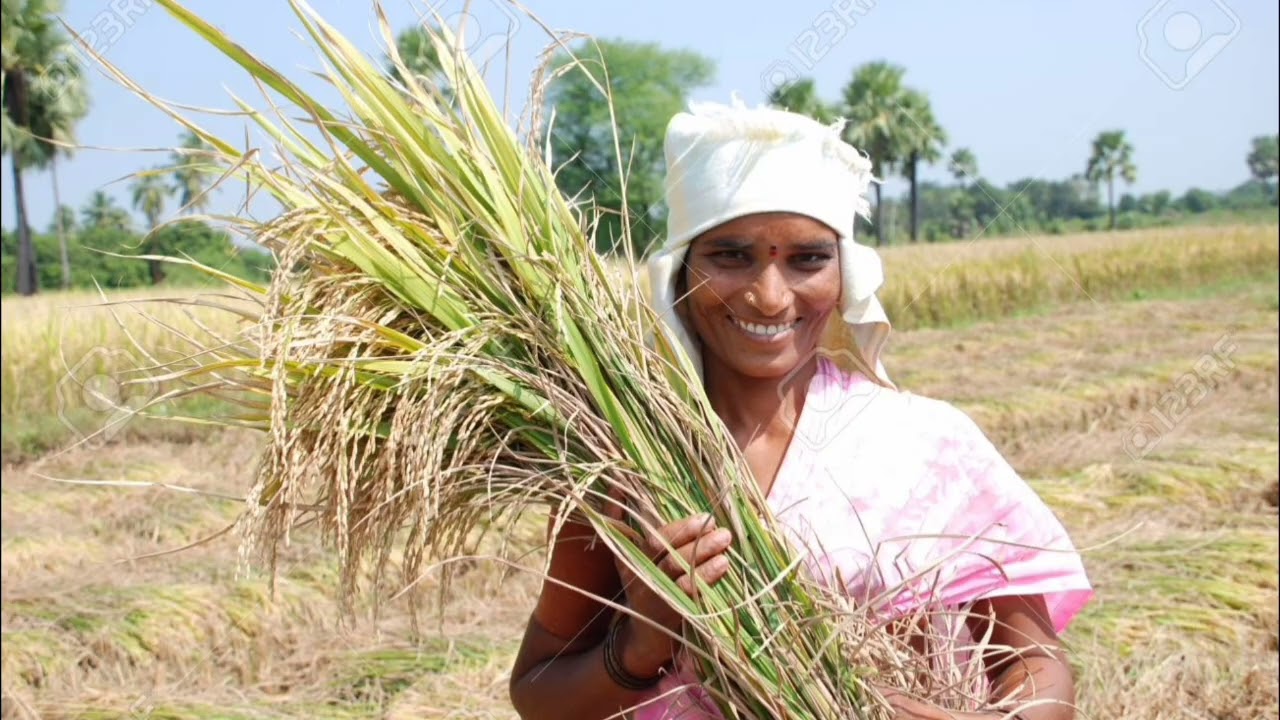రైతు రైతు రైతు..... రచన : ఉండ్రాళ్ళ రాజేశం (UNDRALLA RAJESHAM)
