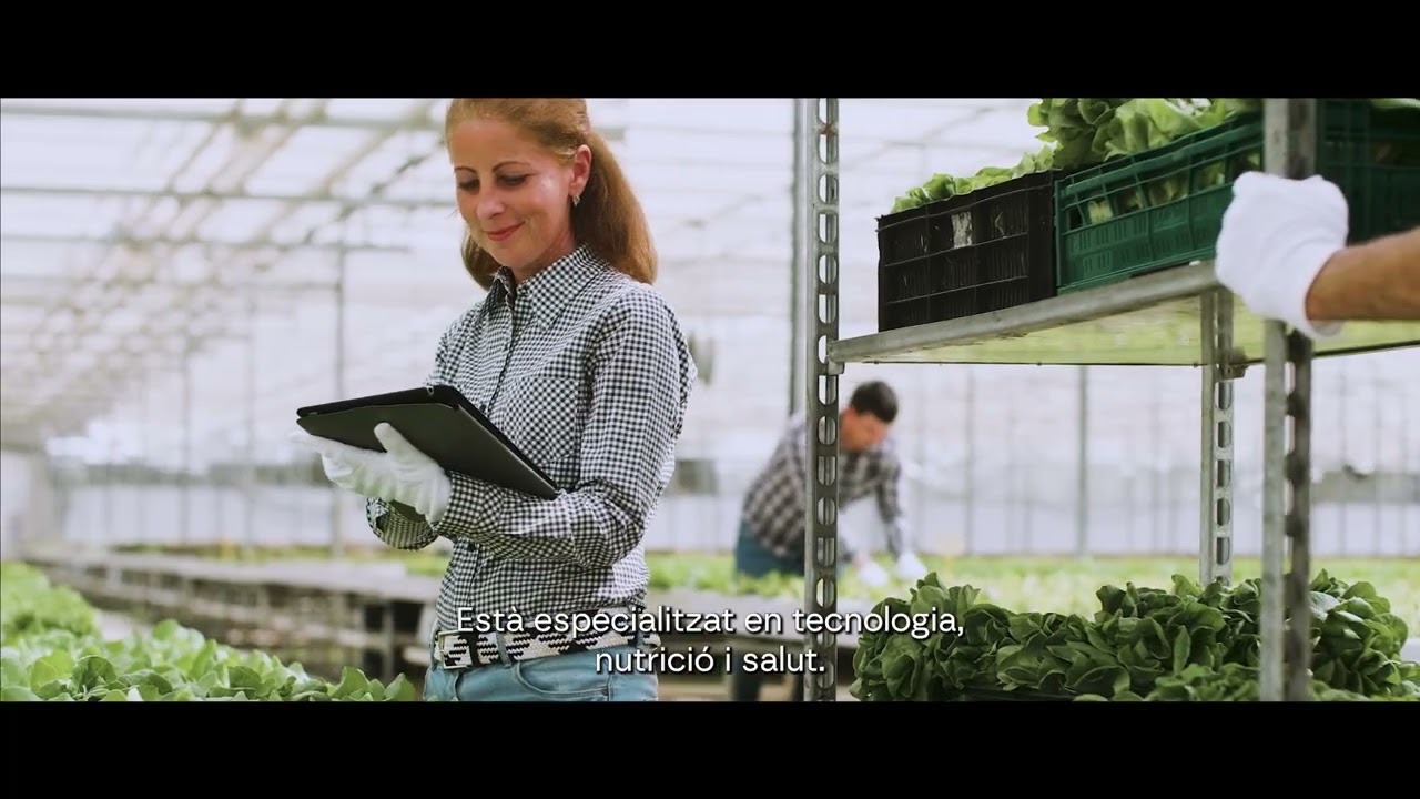 Reus, Ciutat de Ciència i Innovació 2025-28