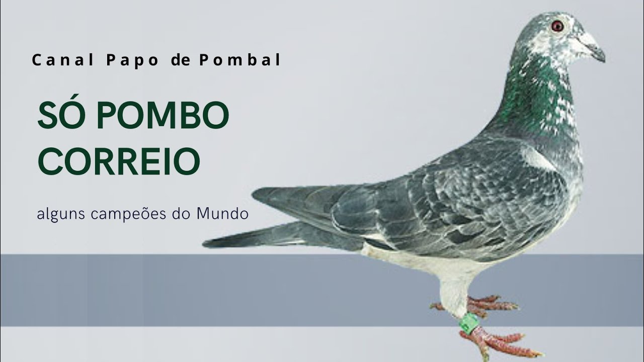Coletânea de Pombos Bons