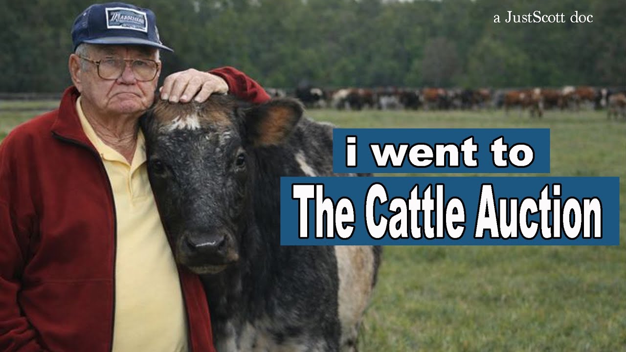 I Went To The Cattle Auction