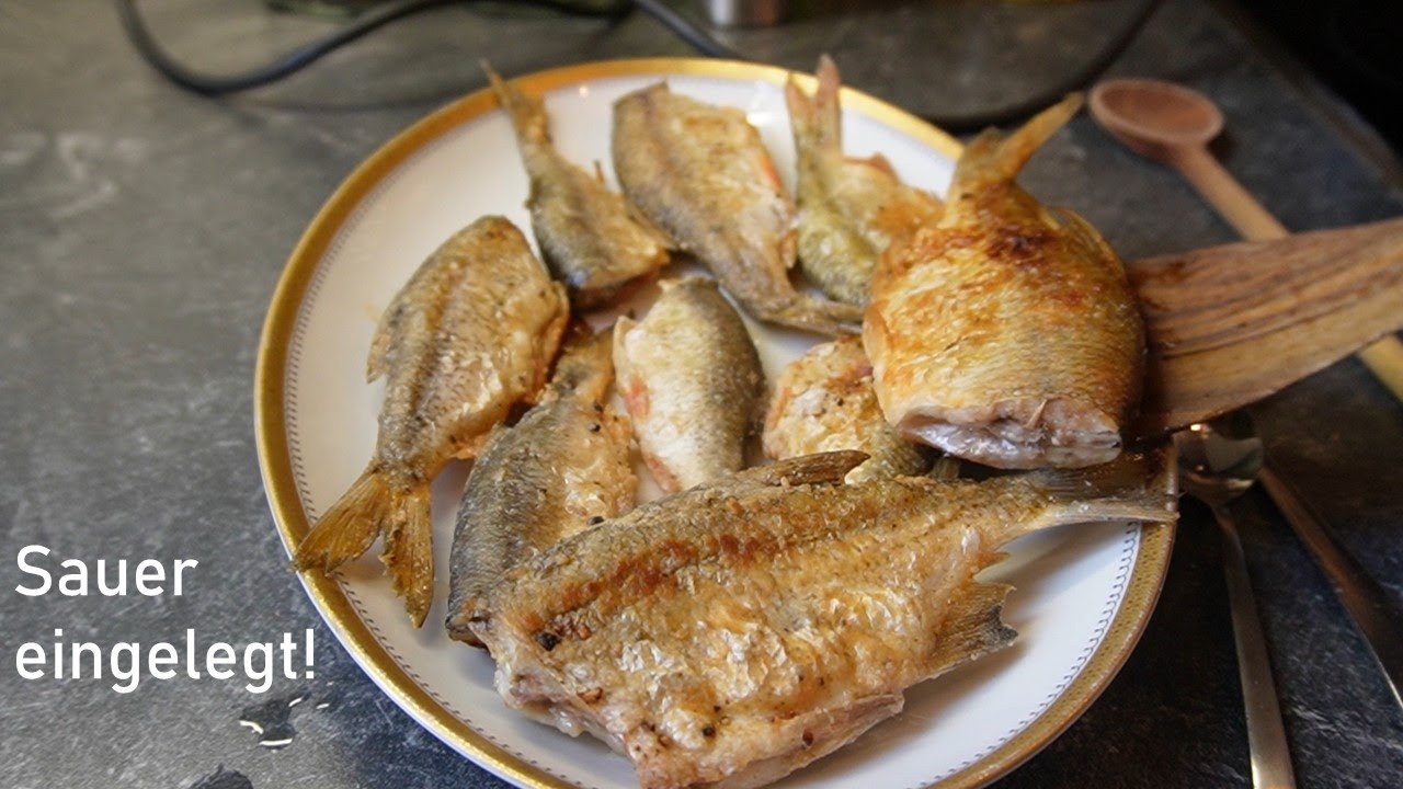 Was Oma noch wusste: Weißfische SAUER einlegen!