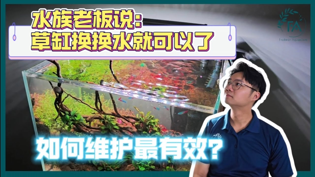 水草缸只换水？｜水草缸如何维护最有效率？｜水草缸新手教程