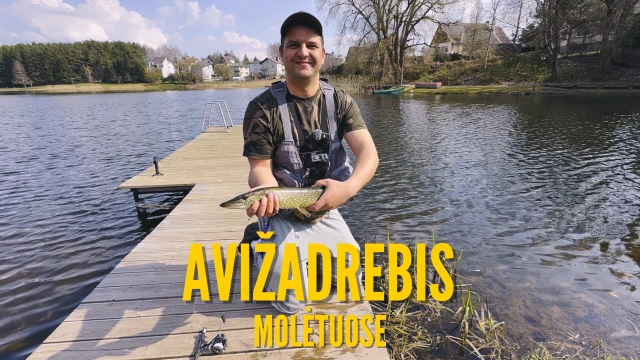 #23 Vlogas, Avižadrėbis Molėtuose