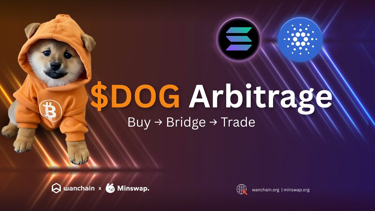 How to Bridge $DOG from Solana to Cardano | Wanchain Tutorial 🐶