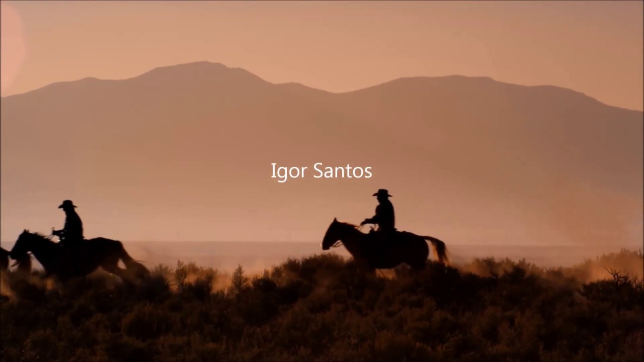 Andamentos dos equinos