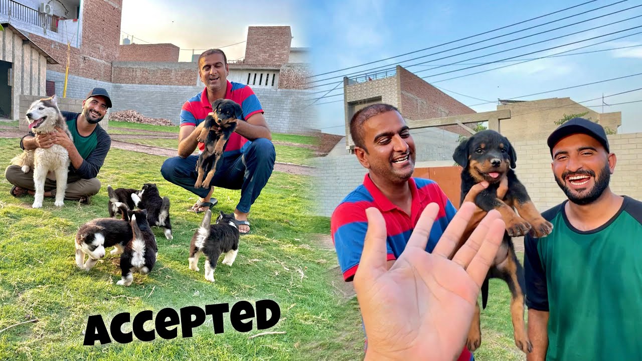 Wahab Bhiya Ko Rott Se Milva Diya Akhir Accept Kr liya😍