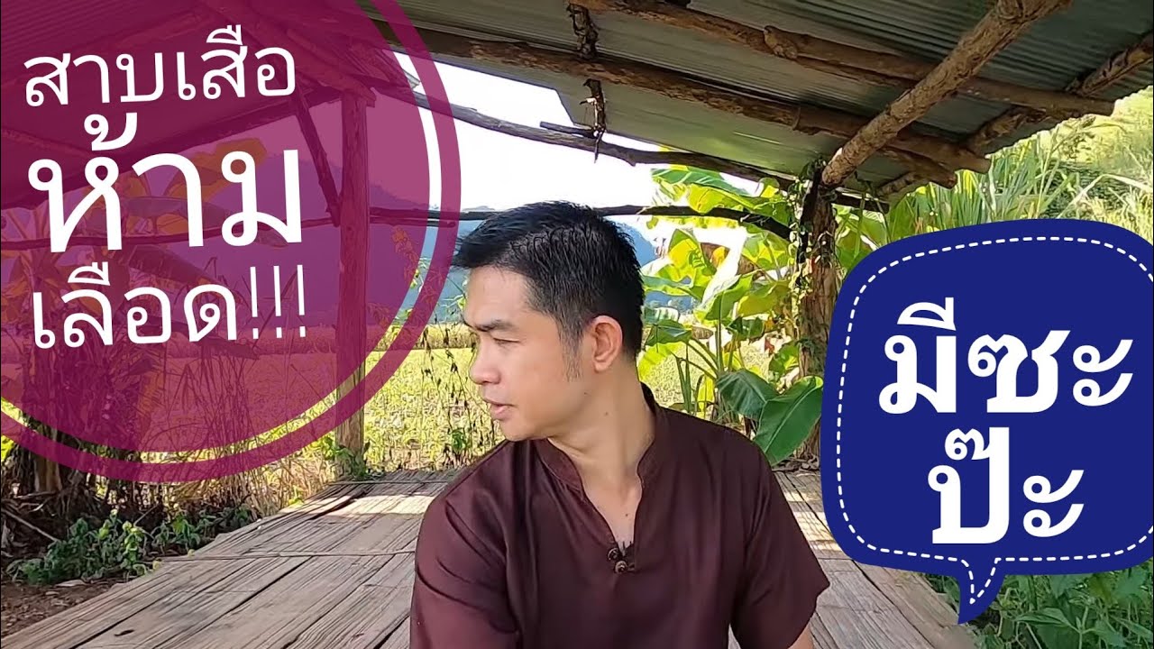 เข้าป่าหาต้นสาบเสือ สรรพคุณมากมาย
