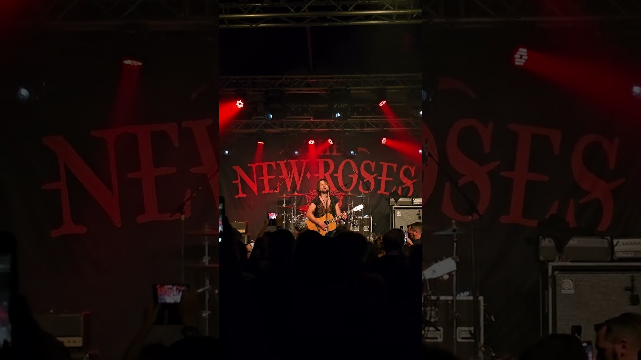 Timmy Rough (The New Roses) - Soulshine (Dexheim 09/09/2023)