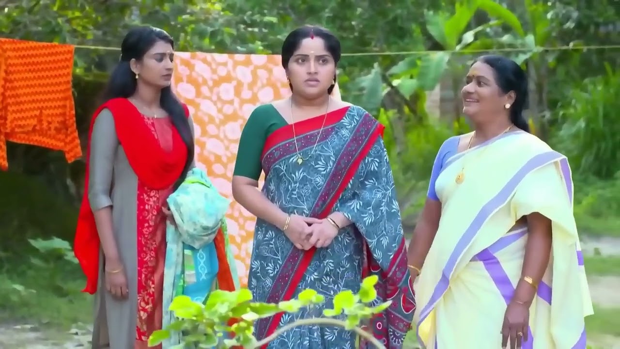 Karthika Deepam - Week In Short - 18-10-2020 - Vivek Gopan, Vijitha, Snisha - Zee Keralam