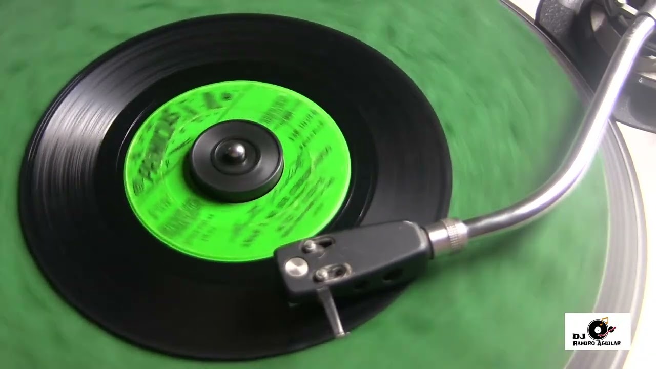 Mitzi y Vicente - Amar y no ser correspondido (#Pasacalle 1978) #músicaecuatoriana #Ecuador