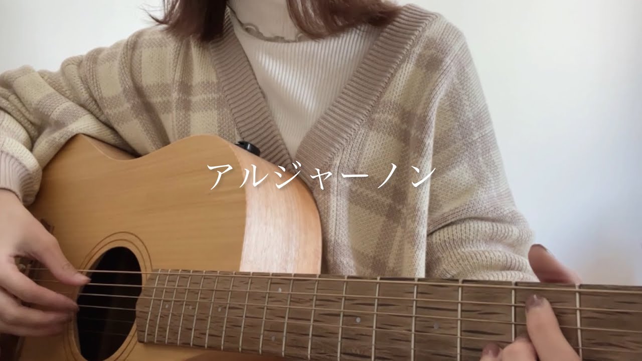 アルジャーノン / ヨルシカ 【弾き語りcover】