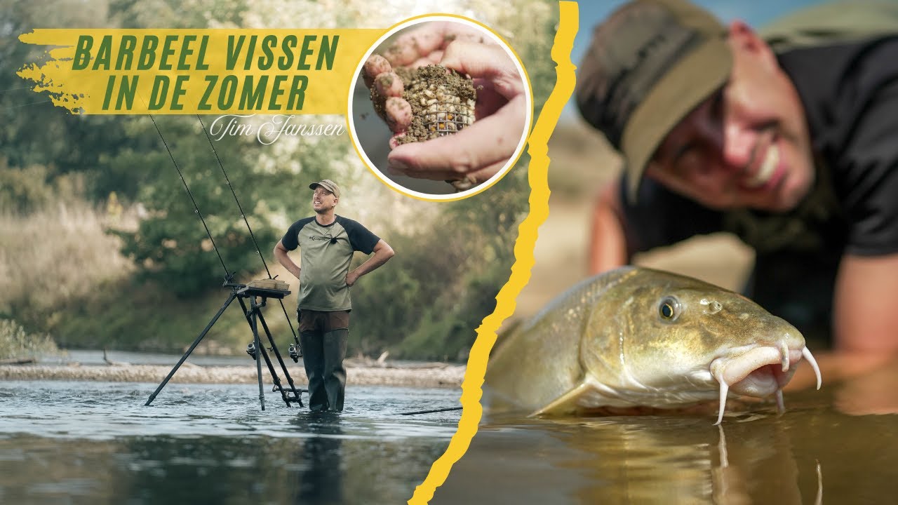 BARBEEL VISSEN IN DE ZOMER | met BIJVANGST| TIM JANSSEN