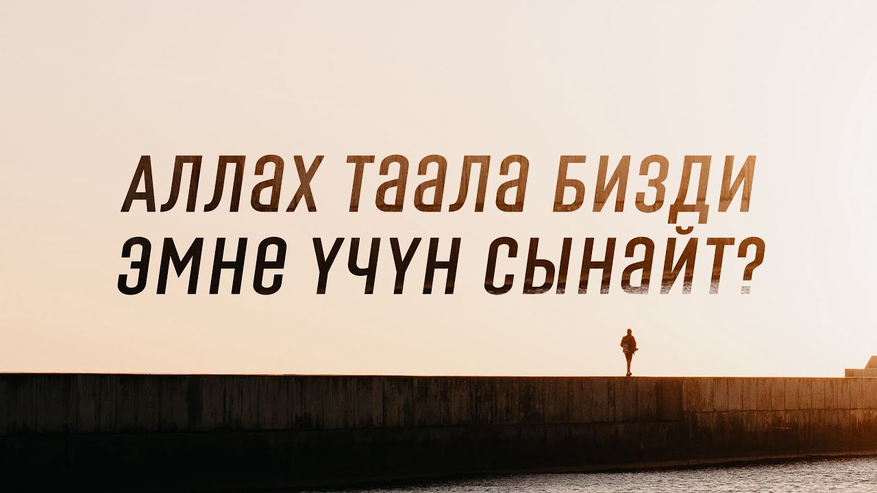 АЛЛАХ ТААЛА БИЗДИ ЭМНЕ ҮЧҮН СЫНАЙТ?