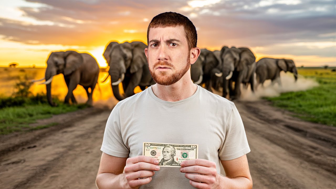 What Can $10 Get in TANZANIA? (Wild Experience)