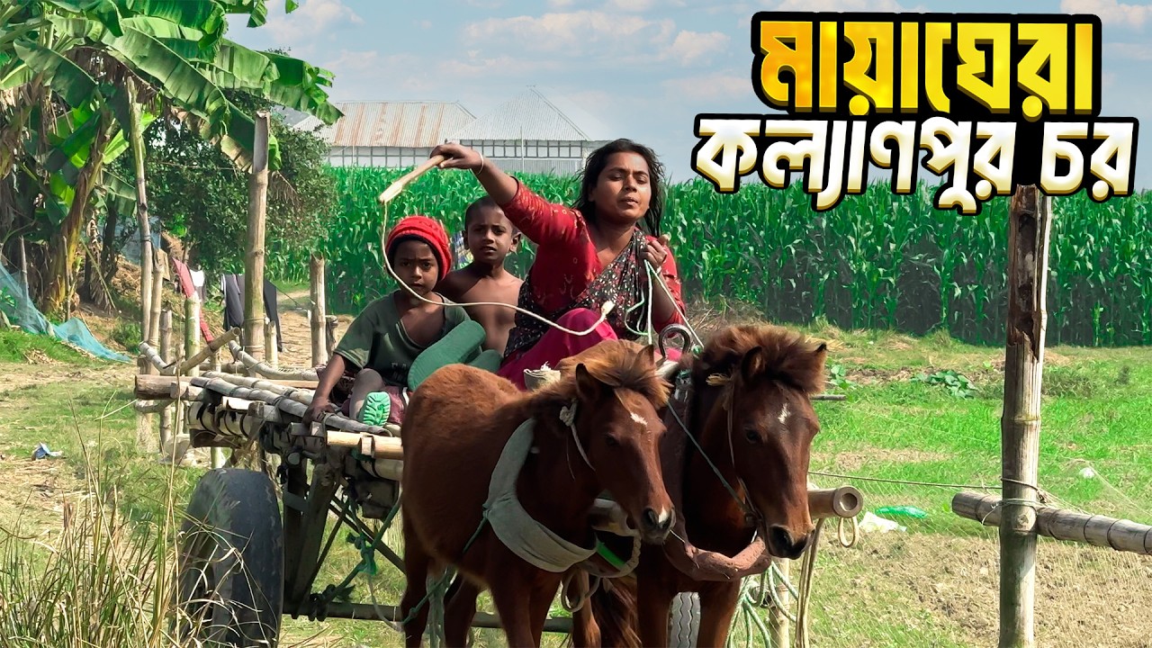 কল্যাণপুর চরের মানুষের জীবন ।Life Of Faridpur Charvadrashan Kallyanpur Char