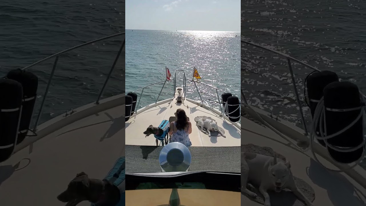 Going out St Augustine inlet to scrape.