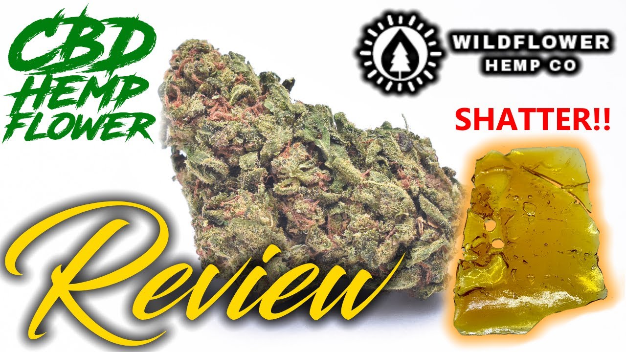 |Wildflower Hemp| CBD Flower + SHATTER Review