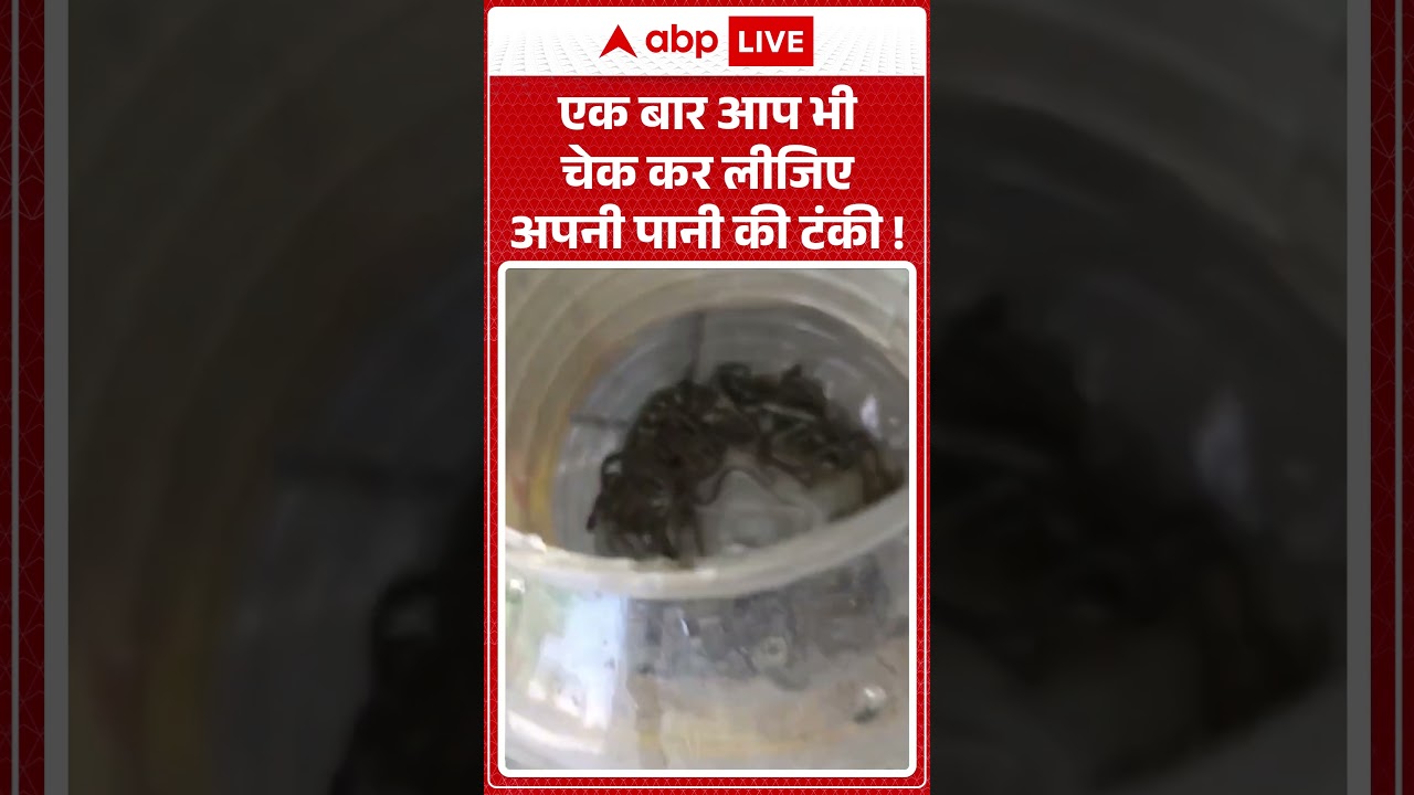 Viral News : एक बार आप भी चेक कर लीजिए अपनी पानी की टंकी! | #ytshorts #snake #viralvideo #viral