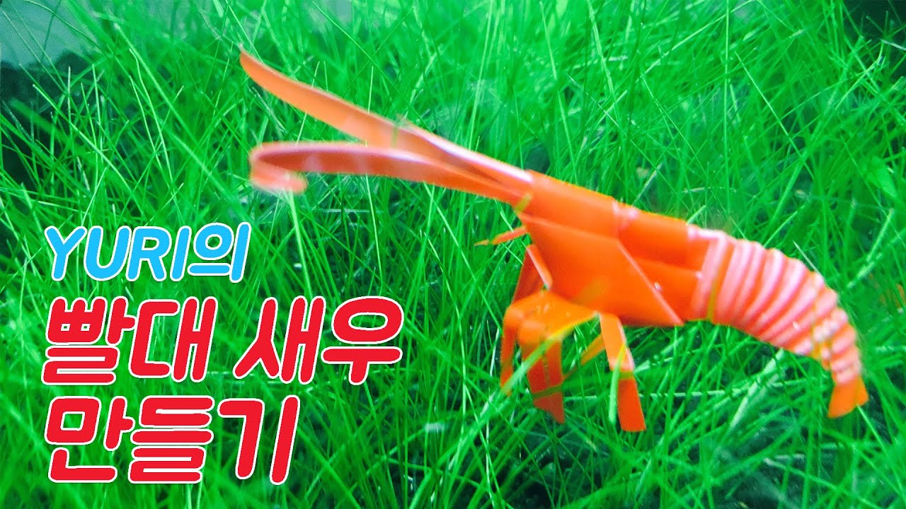 빨대로 새우 만들기 (How to make a straw shrimp)