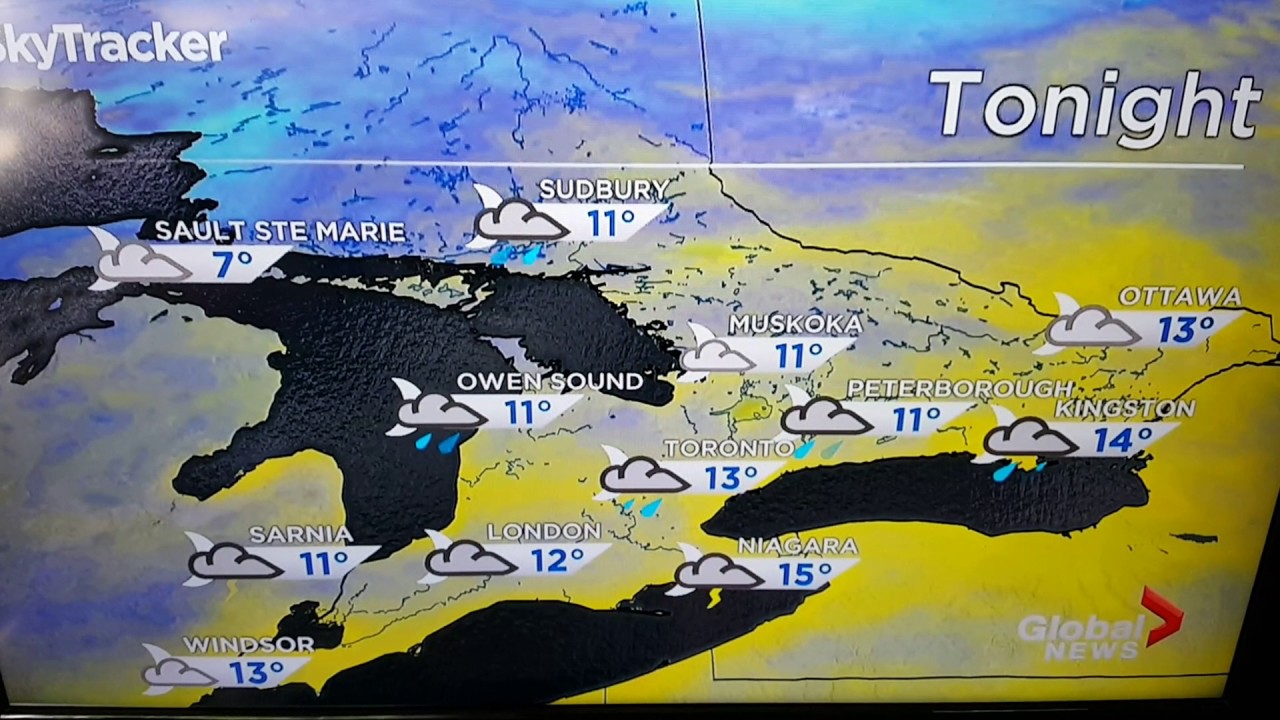 A Dog Appearance During A Weather Forecast on Global News Toronto