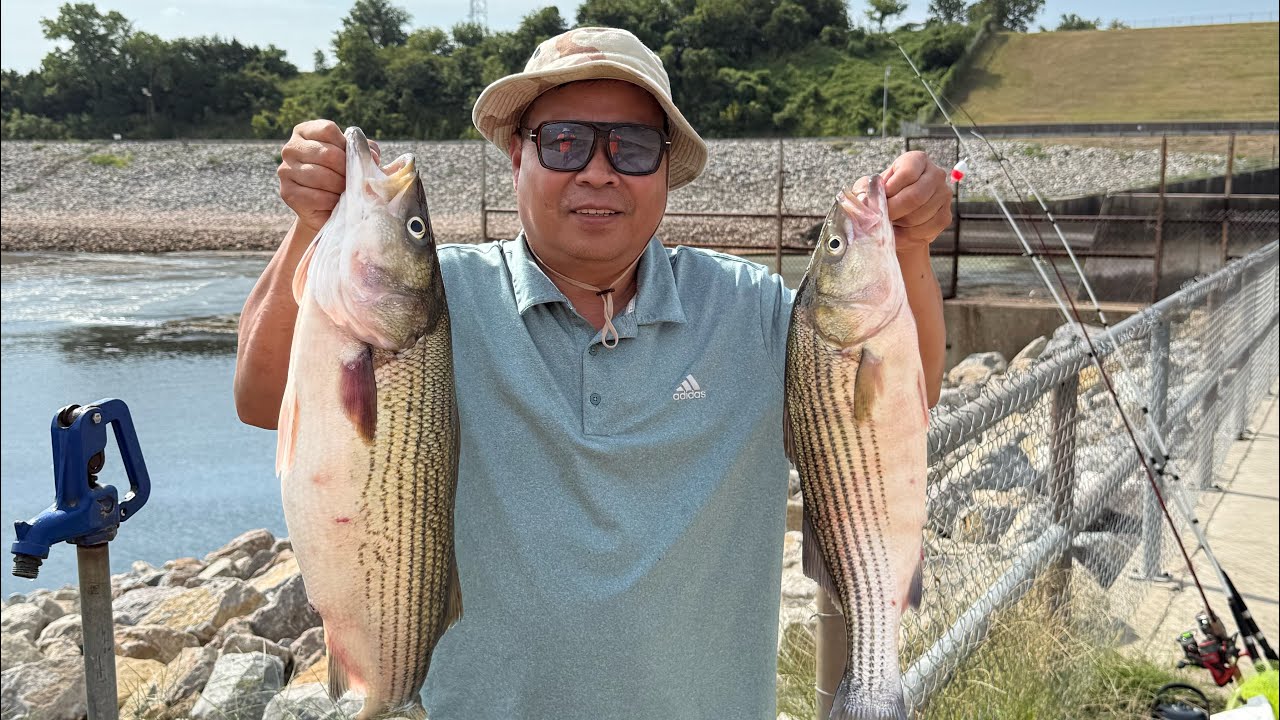 Hôm nay trở lại Denison dam câu cá đã sải ra ngoài mong đợi 