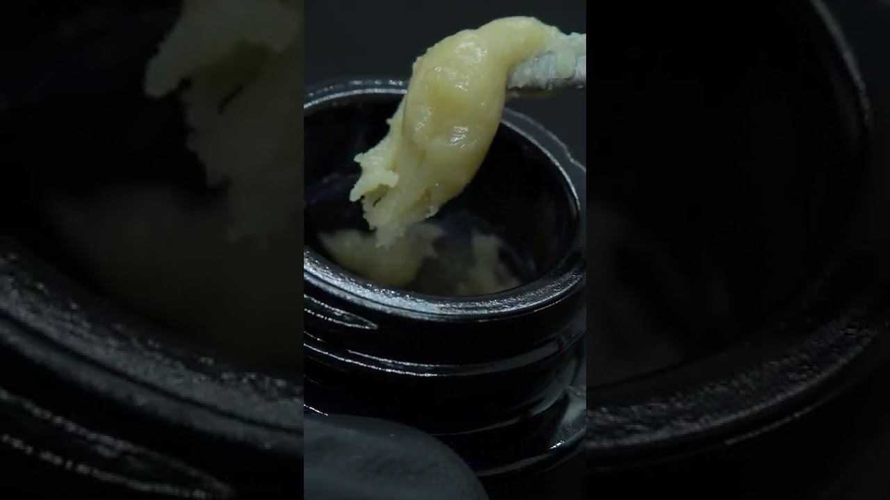 BRINDLE FARMS x OLD GROWTH - Sour Animal Live Rosin - 9% Terps - #dabs #rosin #puffco  #shorts
