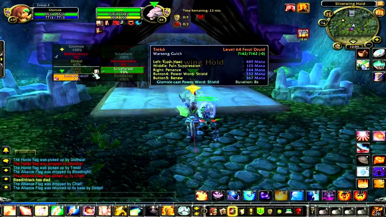 Capture the flag ownage - Glomsie
