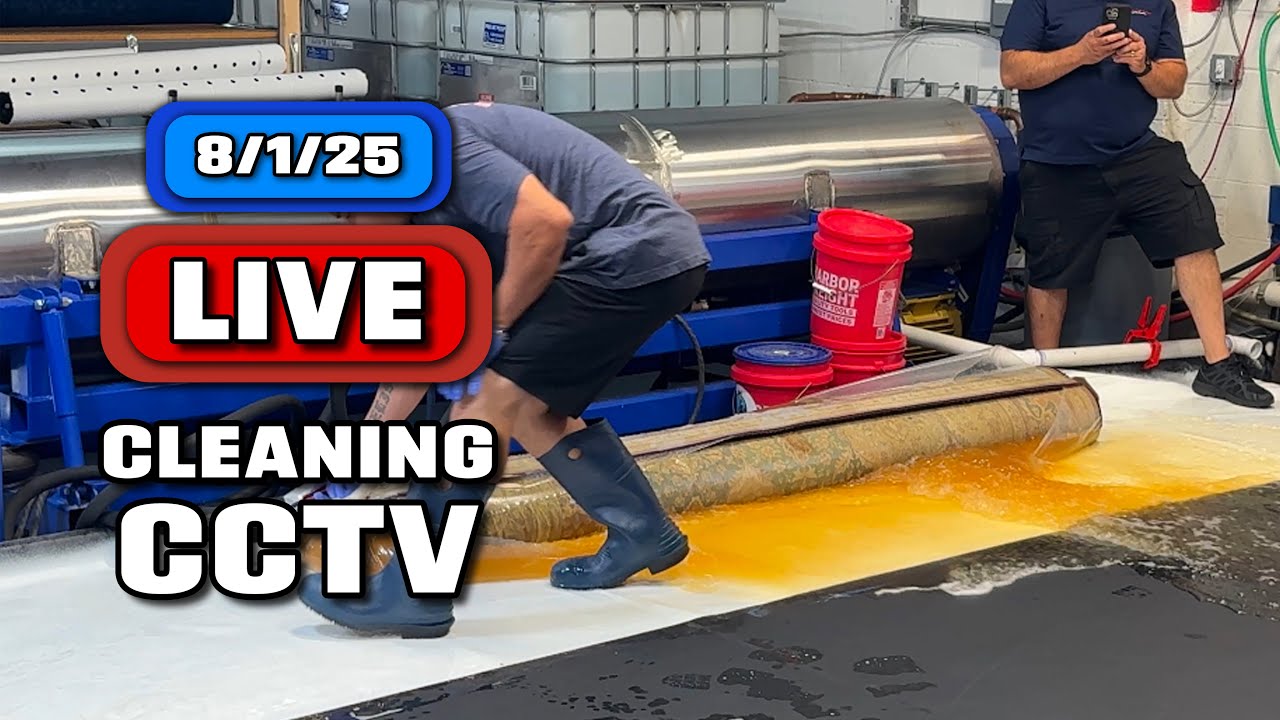 Washing a URINE FILLED Rug LIVE! #cleanwithme #rugcleaning
