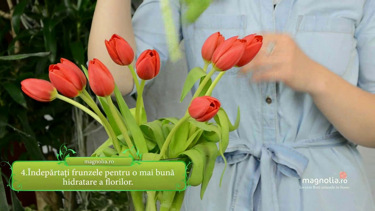 7 trucuri pentru a pastra mai mult timp florile in vaza